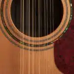 gitara 12 strunowa jak wybrać