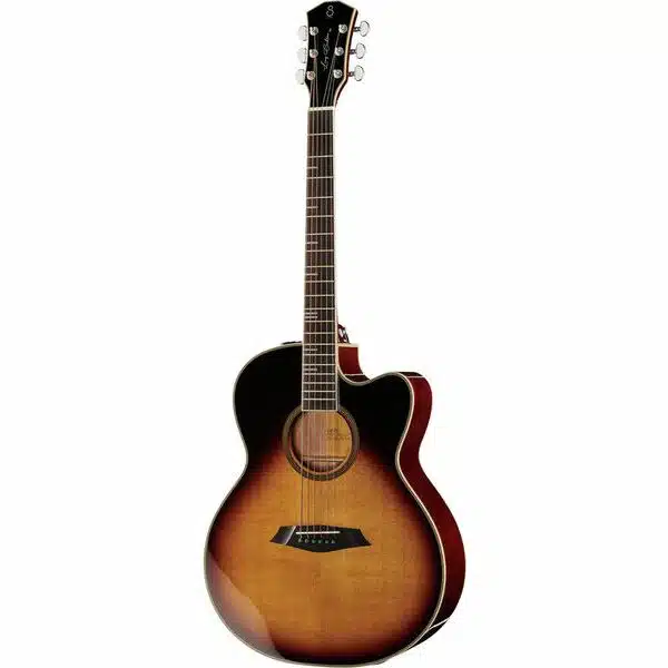 larry carlton a4-g