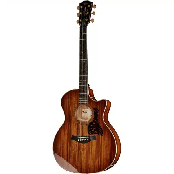 taylor c24ce one of the best grand auditorium guitars