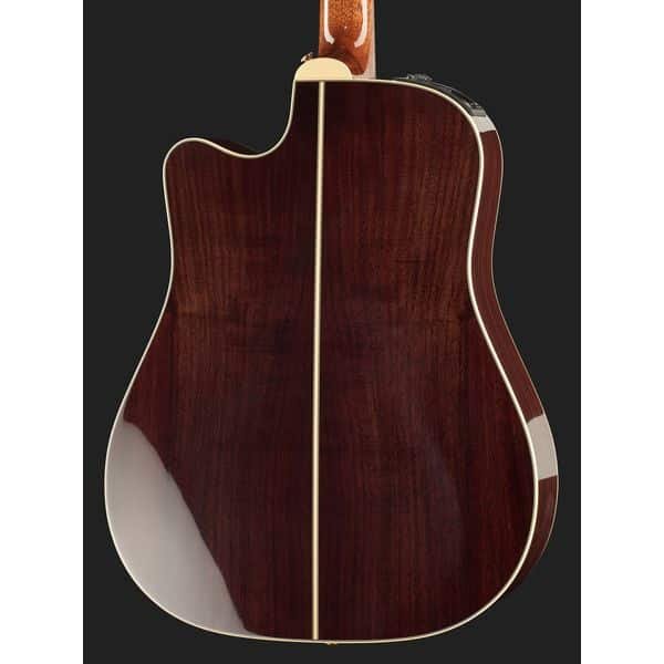 back of the guitar body