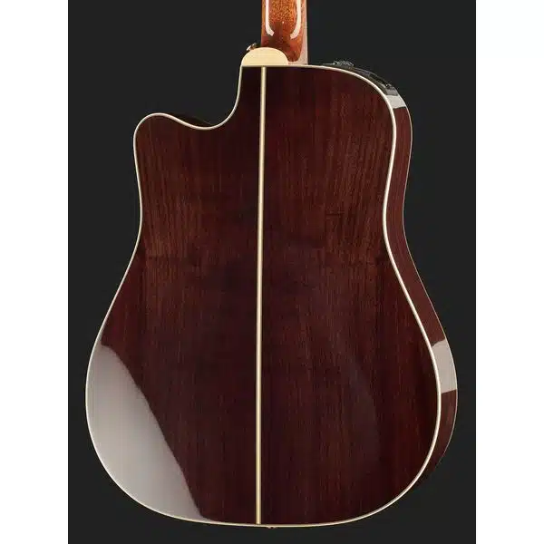back of the guitar body