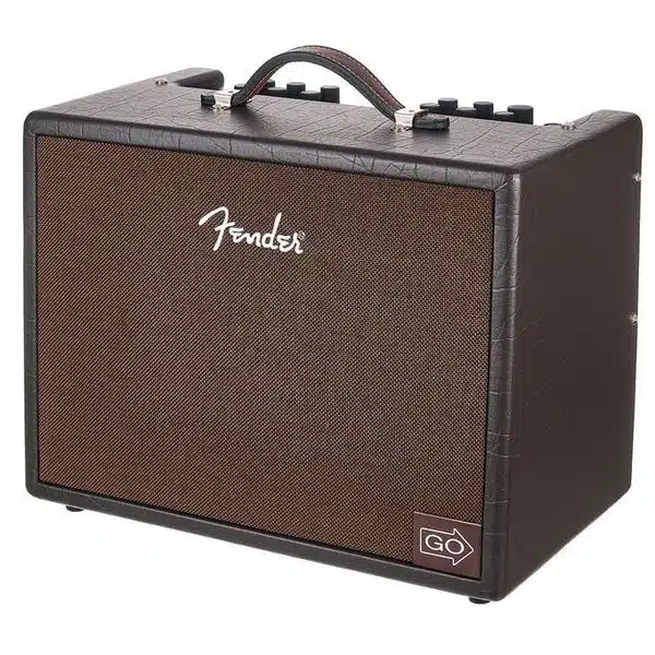 Fender Acoustic Junior GO