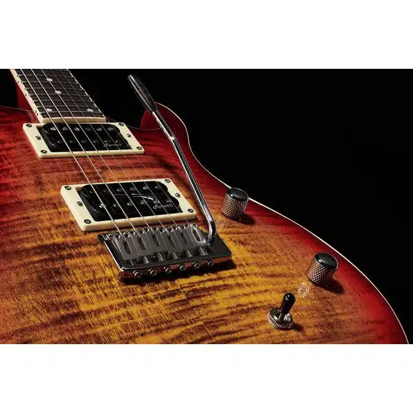 closeup of pickups and tremolo
