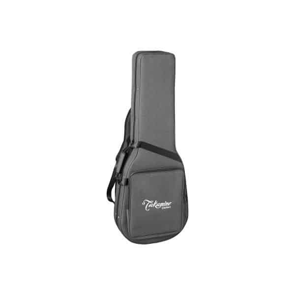 photo of gig bag