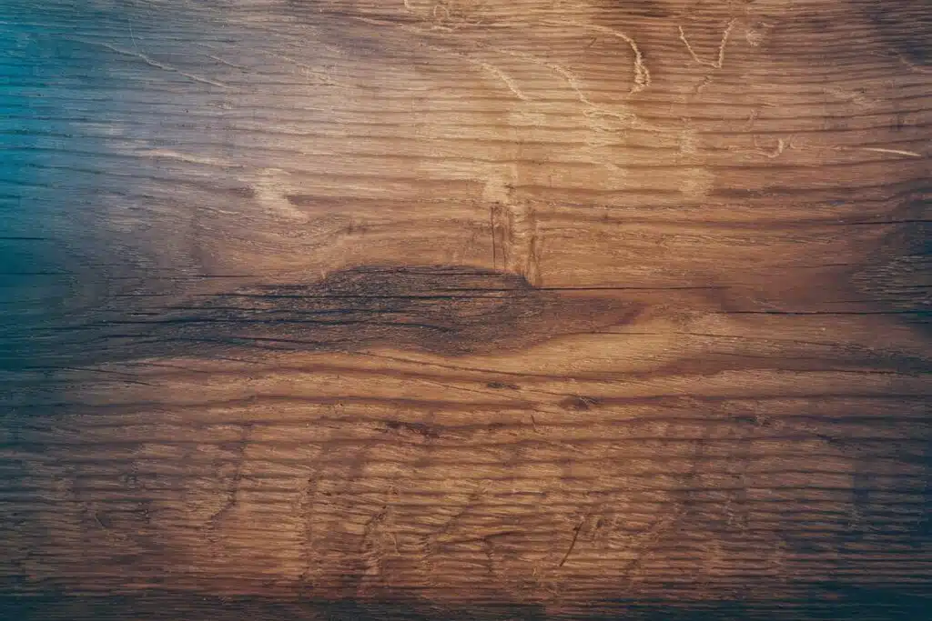 american black walnut