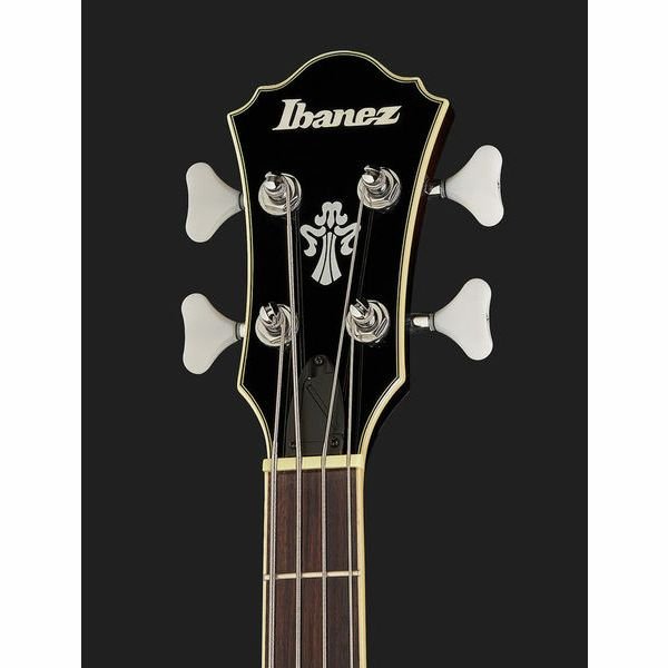 Ibanez AFB200-TKS full body shot