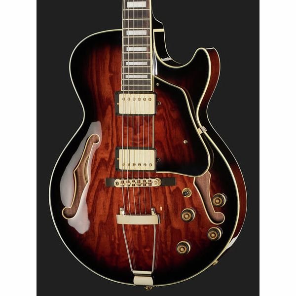 Ibanez AG95QA DBS pickups detail