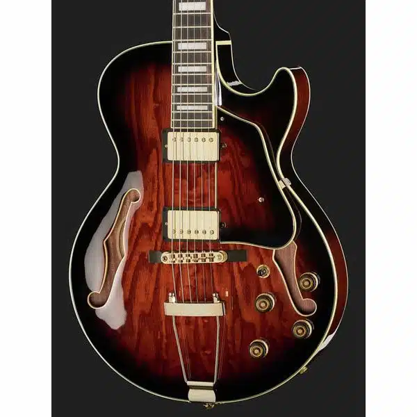 Ibanez AG95QA DBS pickups detail