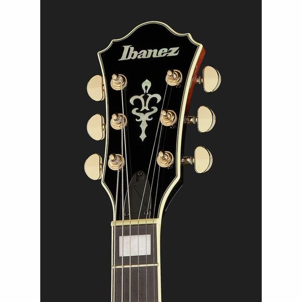Ibanez AG95QA DBS full view