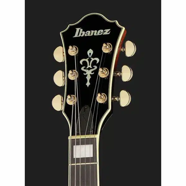 Ibanez AG95QA DBS full view